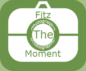 Fitz The Moment Photography